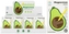 Mozaika magnetyczna  Avocado MEGA CREATIVE 547631