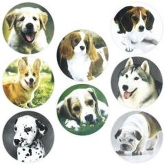 Naklejki papierowe na taśmie Psy 500szt