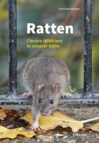 Ratten