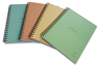 Kołonotatnik A4 160 kartek kratka