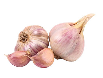 Česnek sadb. - Garpek paličák fialový (50-60 mm) 4 palice  /cena bez slev/