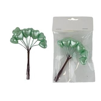 Dekorační srdíčka na drátku, 12 ks X7608-15