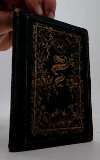 Was der Wald erzählt