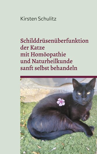 Schilddrüsenüberfunktion der Katze mit Homöopathie und Naturheilkunde sanft selbst behandeln