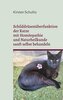 Schilddrüsenüberfunktion der Katze mit Homöopathie und Naturheilkunde sanft selbst behandeln
