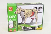 Model anatomiczny zwierzęta 2002266 22664