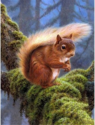 Diamantový obrázek veverka v lese  30 x 40 cm Diamantový obrázek veverka v lese  30 x 40 cm