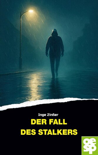 Der Fall des Stalkers