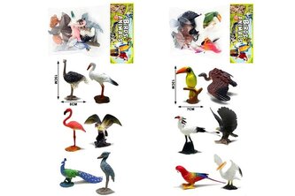 Zwierzęta ptaki G206317 71310