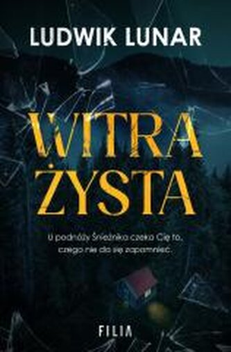 Witrażysta Witrażysta