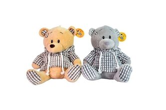 Miś w bluzie CHT04216 42165