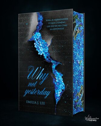 Why Not Yesterday (ilustrowane brzegi)