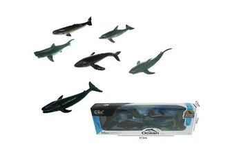 Zwierzęta morskie 6-rodz pudełko H13621 44966