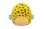 Squishmallows 35cm W19 Ryba Dayton 4226 18202