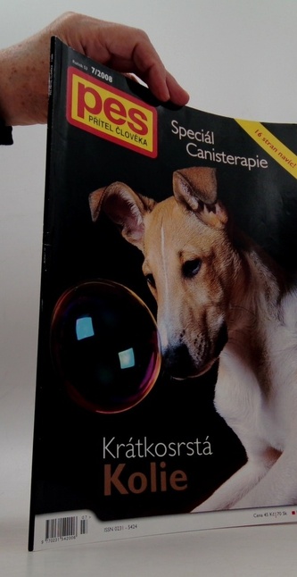 Pes přítel člověka  7/2008 Krátkosrstá Kolie