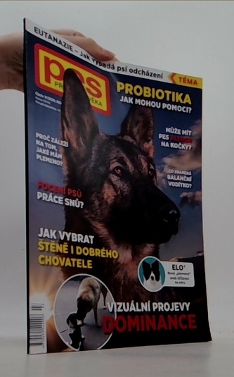 Pes přítel člověka 3/2020: Vizuální projevy dominance