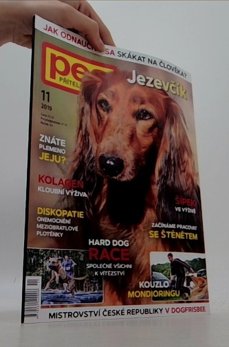 Psí sport 11/2019: Jezevčík