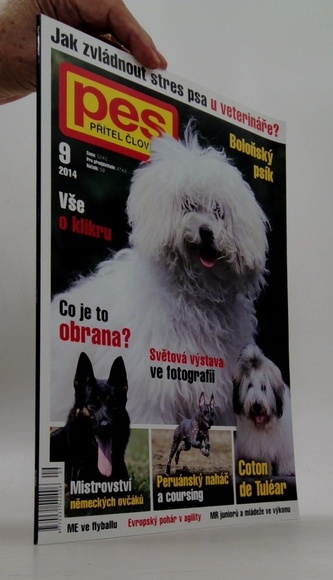 Pes přítel člověka 9/2014 Boloňský psík