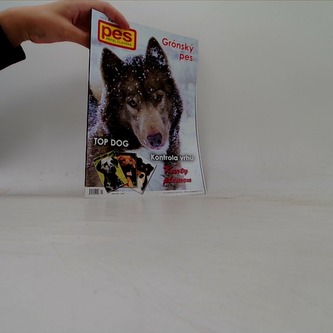 Pes přítel člověka 12/2010: Baset