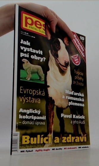 Pes přítel člověka 10/2011: Bulíci a zdraví