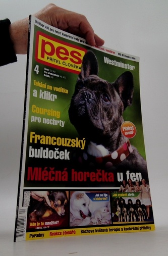 Pes přítel člověka 4/2013 Westminster