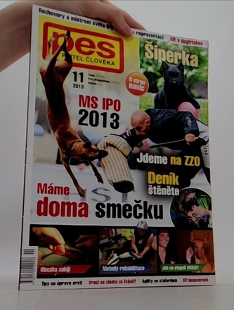 Pes přítel člověka 11/2013: Máme doma smečku