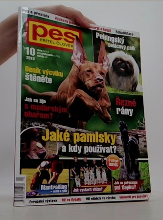 Pes přítel člověka 10/2013: Jaké pamlsky a kdy používat?
