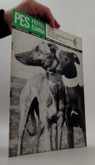 Pes přítel člověka  6/1969