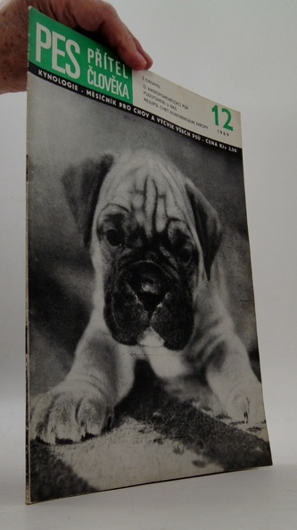 Pes přítel člověka 12/1969