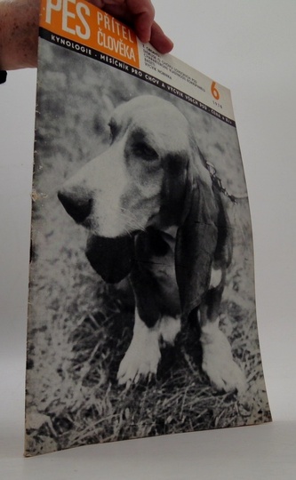 Pes přítel člověka 6/1970