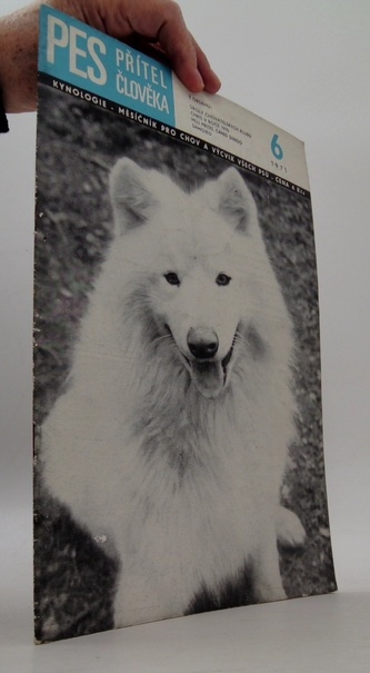 Pes přítel člověka 6/1971