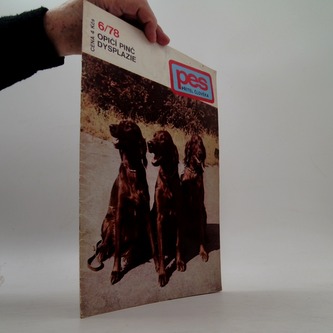 Pes přítel člověka 6/78