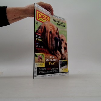 Pes přítel člověk 8/2017 španělský mastin