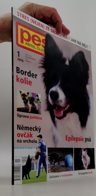 Pes přítel člověka 1/2016 Border kolie