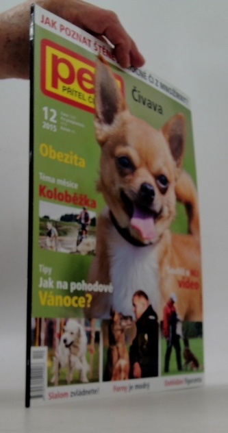Pes přítel člověka 12/2015 Čivava