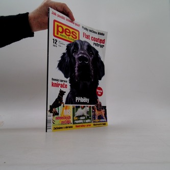Pes přítel člověka 12/2014 Flat coated