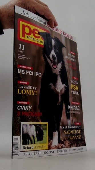 Pes přítel člověka 11/2017 Jak vychovat border kolii?