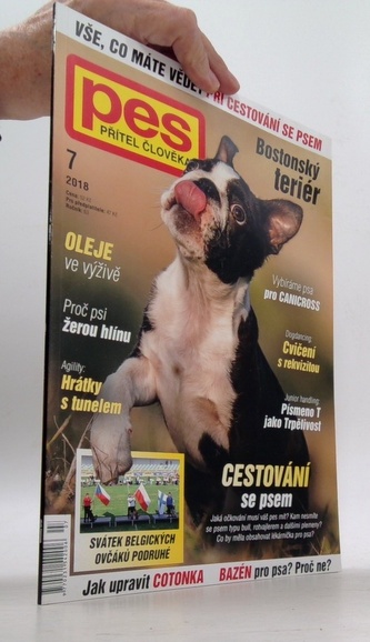 Pes přítel člověka Bostonský teriér