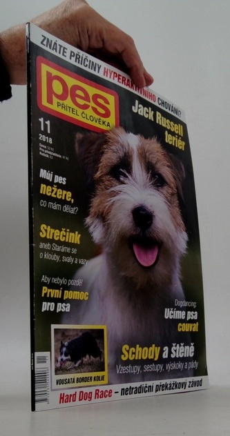 Pes přítel člověka 11/2018 Jack Russell teriér