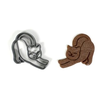 Protahující se kočka