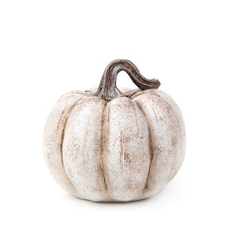 Dynia | PUMPKIN | z teksturą beżowa | 16x16x14 cm | 856582