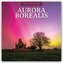 Aurora Borealis - Nordlichter - Polarlicht 2026 - 16-Monatskalender