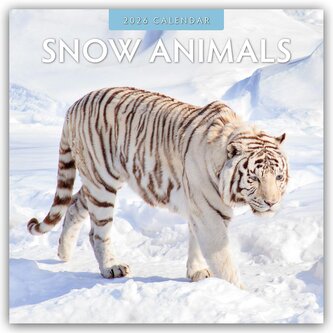 Snow Animals - Arktische Tiere 2026 - 16-Monatskalender Snow Animals - Arktische Tiere 2026 - 16-Monatskalender