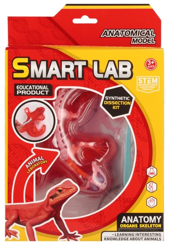 ZEST NAUKOWCA ANATOMIA JASZCZURKA 20X30X5 MC 48