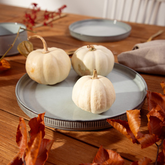 Talerz | SANOS | obiadowy prążkowany szary |  | 707230