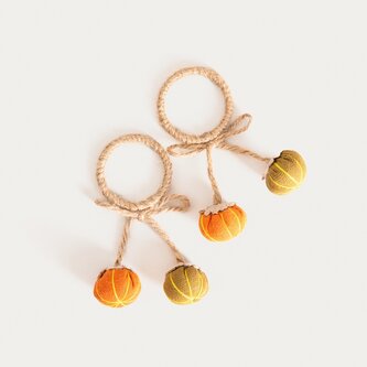 Zestaw pierścieni | ZUCCA | na serwetki, z dyniami | 2 szt. | 757211