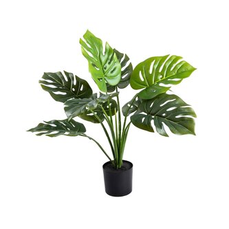Roślina sztuczna | TROPICAL ZONE | monstera w czarnej donicy | 66 cm | 730641