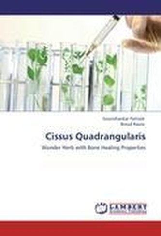 Cissus Quadrangularis