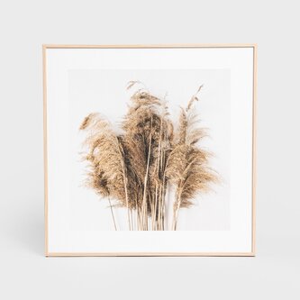 Obraz w ramie | ZEFIR | trzciny | 30x30 cm | 757679