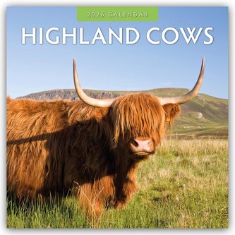 Highland Cows - Hochland Kühe 2026 - 16-Monatskalender Highland Cows - Hochland Kühe 2026 - 16-Monatskalender